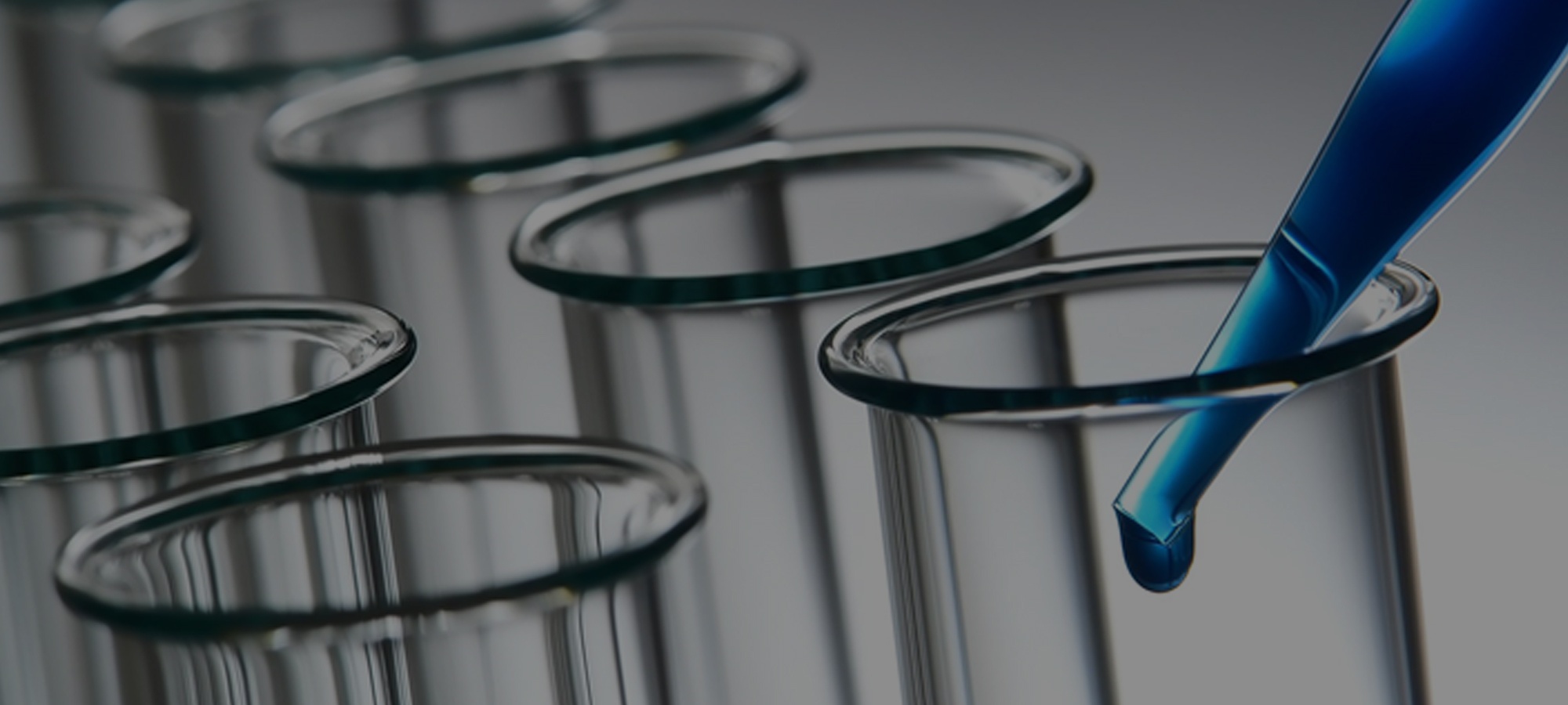 Bringing Quality to SharePoint Governance